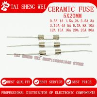 20pcs Ceramic fuse 5X20mm 250V 0.5A 1A 1.5A 2A 2.5A 3A 3.15A 4A 5A 6.3A With a pin Fuse tube Ceramic