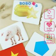 Bộ Thẻ Học Thông Minh Flashcard 14 Chủ Đề Loại A5 Song Ngữ Anh Việt