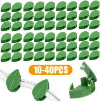 10-40Pcs ที่มองไม่เห็น Plant Climbing Wall Fixer หวาย Vine cket หัวเข็มขัดคงที่ Leaf คลิป Traction ผู้ถือ Garden Traction Shaping