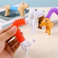 Novelty Spring Dog Pop Tubes Sensory Toy Stress Relieve Bellows Toys For Adult Kids Anti-stress Squeeze Toys Gifts