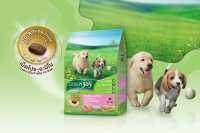 อาหารสุนัข Dog n joy Complete Puppy &amp; Mother Chicken &amp; Milk Flavour