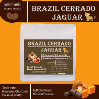 เมล็ดกาแฟบราซิล Brazil Cerrado Jaguar natural 100%  กาแฟนุ่มละมุนหอมถั่วเฮเซลนัท คาราเมล ช็อคโกแล็ต คั่วกลางเข้ม (Full city Roast)