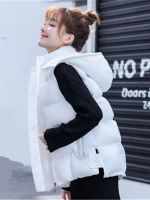 ▧☸ Korean Down Cotton Coat Short Waistcoat Stand-Up Collar Jacket Sleeveless Hooded Female 2022