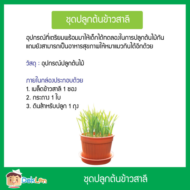 ชุดปลูกต้นข้าวสาลี-อุปกรณ์การปลูกต้นไม้-กิจกรรมที่มีประโยชน์สำหรับเด็ก-สอนให้ลูกรักธรรมชาติ-เสริมสร้างพัฒนาการเด็ก