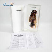 43004 the anatomy of the pigeon organic resin embedding specimens of primary and secondary schools teaching equipment model of popular science exhibition