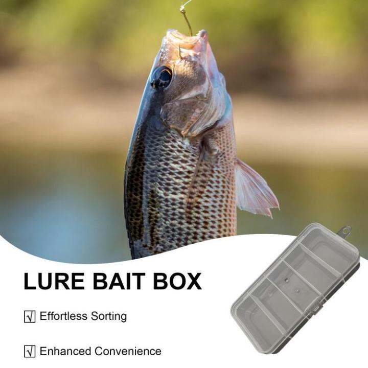 fishing-lure-boxes-luya-5-grid-lure-storage-box-five-grid-design-fishing-tool-box-for-beads-lures-and-hooks-trendy