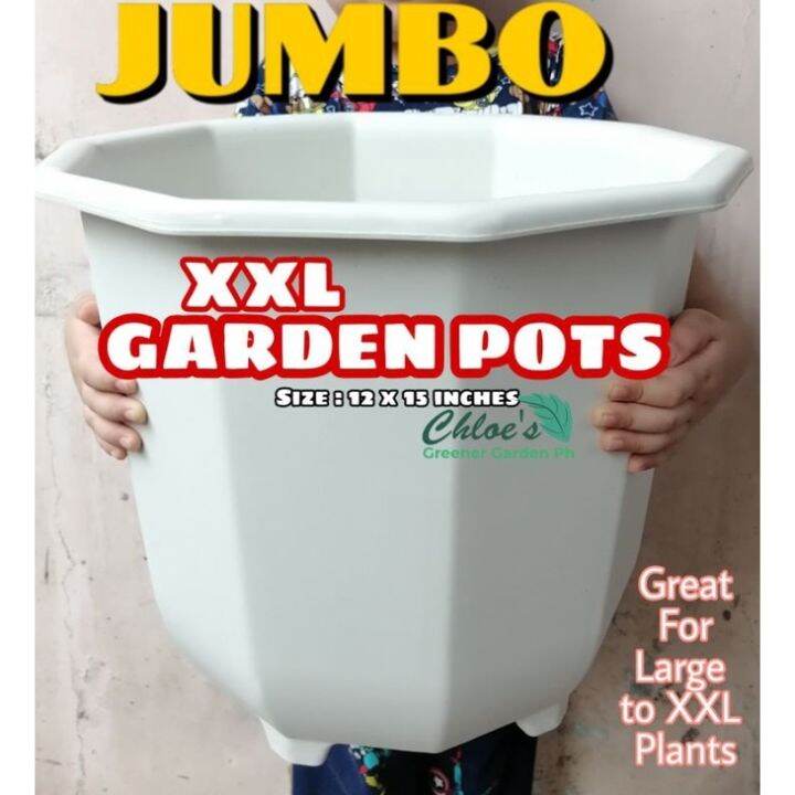 JUMBO XXL VERY BIG WHITE POTS FOR PLANTS PLANTERS Lazada PH