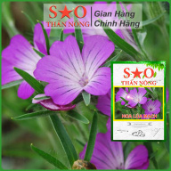 Hoa lúa mạch Sao Thần Nông màu tím - gói 100 hạt dễ trồng hoa đẹp bền thumbnail