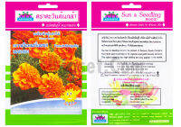 เมล็ด ดาวเรืองฝรั่งเศส MAR-601(French Mariglods Flower) บรรจุ 0.18 กรัม ความงอก 85% ดอกมีสีส้มขอบสีเหลือง ขนาดทรงพุ่มประมาณ 25-30 ซม.