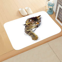 Cute Kitten Pattern Bedroom Anti-Slip Coral Velvet Car Rug Cat Shop Kitchen Bath Entrance Door Mat Home Decor Doormat