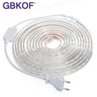 [HOT BYIIIXWKLOLJ 628] SMD 5050 AC220V LED Strip ไฟยืดหยุ่น60 Leds/m เทป Led กันน้ำไฟ LED พร้อมปลั๊กไฟ1M/2M/3M/5M/6M/8M/9ม./10ม./15ม./20ม