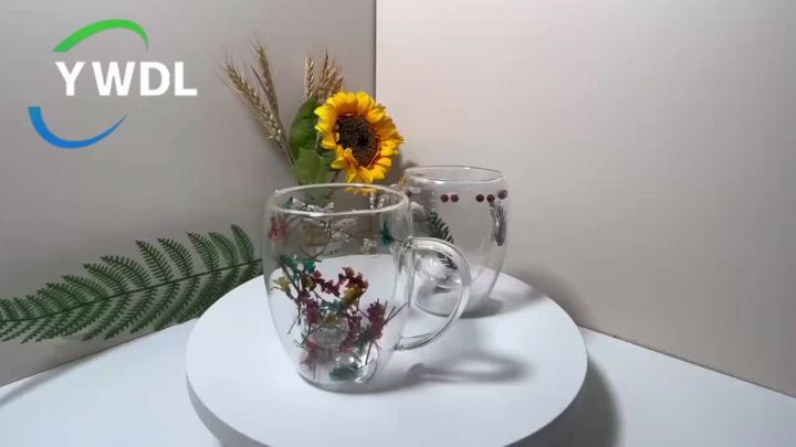 YWDL Dried Flower Double Wall Clear Glass Coffee Mugs Double