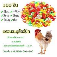 ห่วงขาไก่ 100ชิ้น หลากสีที่สามารถปรับไก่ขาวงดนตรีประจำตัวแหวนแหวนเท้าไก่ อุปกรณ์ไก่ชน