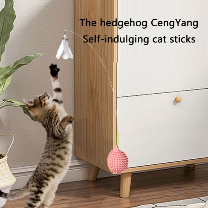 ลูกแมวนวดหวีสำหรับสั้นยาวโกรธแมวอุปกรณ์ของเล่นแบบโต้ตอบกรูมมิ่ง-heagehog-รูปร่างด้วยหญ้าชนิดหนึ่งกระเป๋า