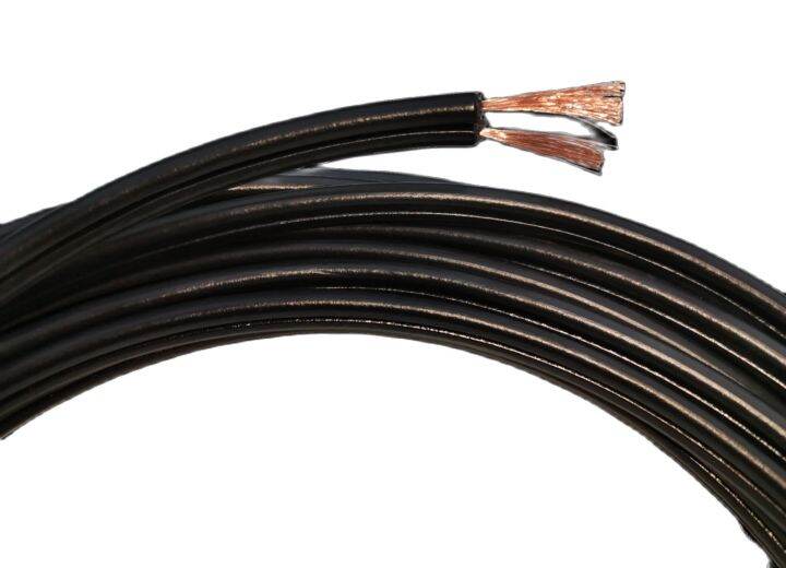 Flat Cord Wire 1.25mm 2C (AWG 16/2) Pre Cut ( Omega) , Extension Wire