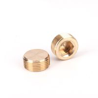 M5 M6 M8 M10 M12 M14 M16 M18 M20 M22 1/8" 1/4" 3/8" 1/2" 3/4" 1" BSP NPT Male Thread Brass Hex Socket End Cap Plug Pipe Fitting Pipe Fittings Accessor