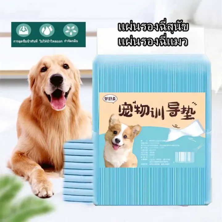 รุ่นเดียวกันที่-pet-shop-กําจัดปัญหาปัสสาวะสัตว์เลี้ยง-nd-แผ่นรองฉี่-หนาและดูดซับได้มากขึ้น-ระงับกลิ่นได้-ที่รองฉี่สุนัข-แผ่นรองฉี่แมว-แผ่นรองฉี่สุนัข-แผ่นรองฉี่กระต่าย-ผ้ารองฉี่สุนัข-แผ่นรองฉี่-หมา-แ