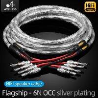 2013 1คู่6N OCC และชุบเงินสายลำโพง Hifi Hi-Fi สายลำโพงปลั๊กกล้ามปูกล้วย