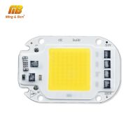 LED COB Lamp Chip 20W 30W 50W AC 110V 220V Smart IC LED Beads For DIY LED Grow Floodlight Bul.b Day White Cold White Warm White