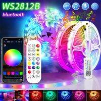 WS2812B RGBIC Led Strip Lights Bluetooth 1-30M RGB Tape For Room LED Luces Flexible Ribbon Lamp Controller+Power Supply Full Set LED Strip Lighting