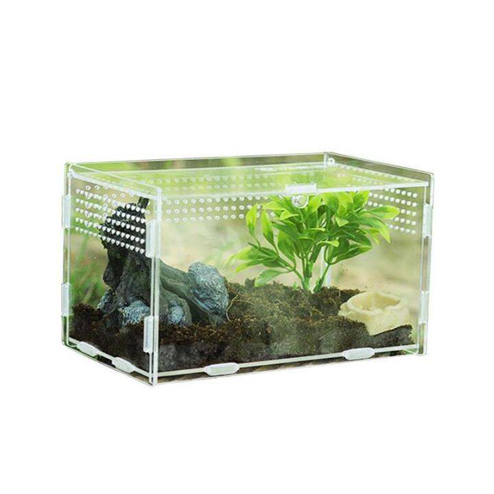 Lizard terrarium outlet kit