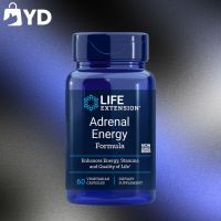 บำรุงต่อมหมวกไต บรรเทาความเมื่อยล้าLife Extension Adrenal Energy Formula [1ขวด 60 เม็ด]  สารสกัด จาก กะเพรา ถั่งเช่า  และโสม