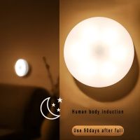 Wholesale Bedside Light Closet Wall Intelligent Automatic Induction Motion Sensor USB Rechargeable LED Night Lights Ceiling Lights