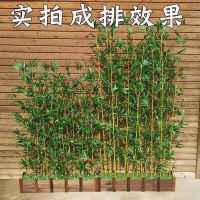 [COD] bamboo decoration living room hotel landscaping partition screen porch indoor and outdoor fake