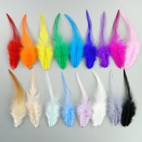 Wholesale Colored Feathers 10-15cm Pheasant for Needlework and Handicrafts Catcher Accessories