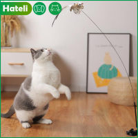 HATELI จำลองนกอินเตอร์แอคทีฟของเล่นแมวนกขนนกตลกพร้อมกระดิ่งแมวของเล่นสำหรับลูกแมวเล่นไม้กายสิทธิ์ของเล่นแมวอุปกรณ์