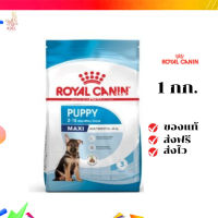 ?จัดส่งฟรี Royal Canin Maxi Puppy 1kg อาหารเม็ดลูกสุนัข พันธุ์ใหญ่ อายุ 2-15 เดือน เก็บเงินปลายทาง ✨