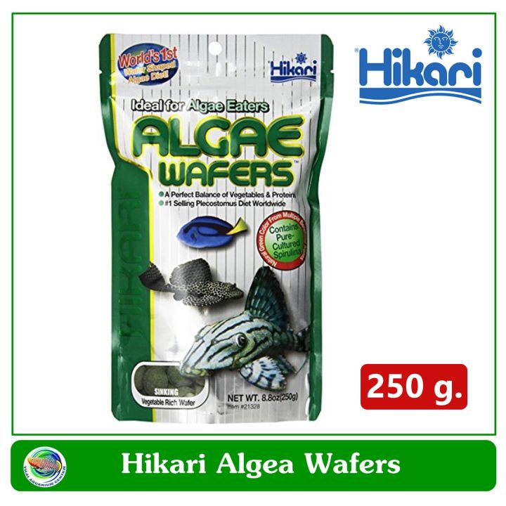 hikari-algae-wafer-อาหารปลา-สำหรับปลากินพืช-ตะไคร่-ปลาแพะ-ปลาหมู-ขนาด-250-กรัม