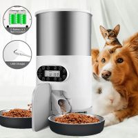 Automatic Pet Feeder Button &amp; WIFI Smart Cat Dog Food Dispenser Feeding Cats Timer Stainless Steel Double Meal Bowl Autom Feeder