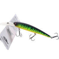 China Factory Supply Molds Minnow Hardbait Saltwater Crankbait Plastic Fishing Hard Lure