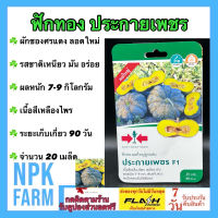 ผักซอง ศรแดง ฟักทอง ประกายเพชร จำนวน 20 เมล็ด ลอตใหม่ งอกดี เนื้อสีเหลืองไพร รสชาติดี เหนียว มัน อร่อย ผลหนัก 7-9 กิโลกรัม อายุเก็บ 90 วัน