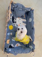 Dog kennel dog bed solid pet blue cat wooden bichon corgi golden retriever