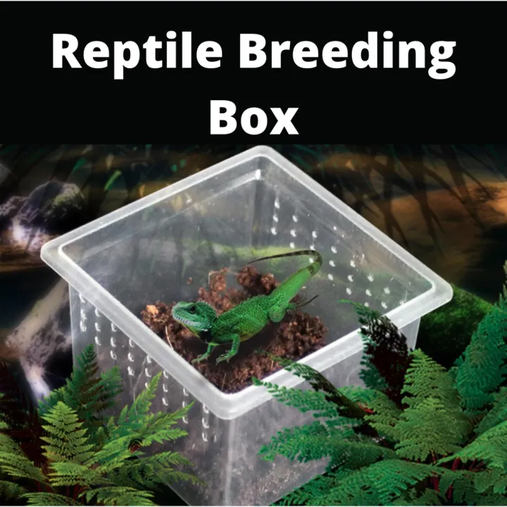 Malaysia Original Stock Reptile Plastic Breeding Box Shelter Insects ...