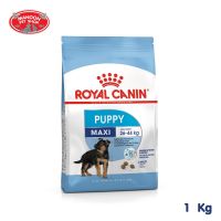 ? { ส่งฟรี } ? Royal Canin Maxi Puppy 1kg สำหรับลูกสุนัขพันธุ์ใหญ่อายุ 2 ถึง 15 เดือน  บริการเก็บเงินปลายทาง