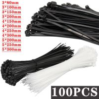 Plastic nylon cable ties self-locking black plastic winding cable ties to fix nylon cable ties to fix cables Cable Management
