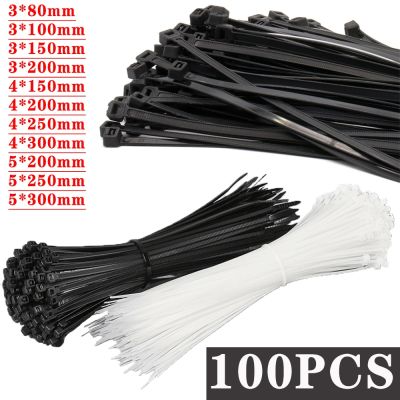 Plastic nylon cable ties self-locking black plastic winding cable ties to fix nylon cable ties to fix cables