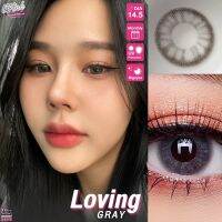 ร้านเลนส์สวยคอนแทคWink รุ่น loving /สีGray เทา  ไม่มีค่าสายตานำเข้าจากเกาหลี มี อย.100%โปรสุดWOW