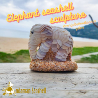 Andaman seashell  ตุ๊กตาปูนปั้นติดเปลือกหอย รูปช้าง ติดหอยแครง