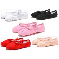 hot【DT】 Pink Canvas Flat Teacher Gymnastic Ballet Shoes Kids for