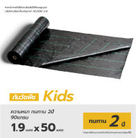 11.29บาท/ตรม. พลาสติกคลุมดิน Kids Size 1.9m x 50m 2-3ปี ป้องกันรังสี UV หมดปัญหาหญ้าขึ้นกวน weed protection landscape