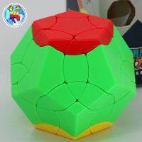 Magic Cube Puzzle Sengso Birds Adoring the Phoenix Dodecahedron Megamin 12 Side Cubo mágico BaiNiaoChaoFeng Logic Twist Toy Game