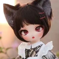 New 14 BJD Doll Head No Makeup Resin Material Lovely Girl Head Anime Doll DIY Doll Accessories Doll Toys