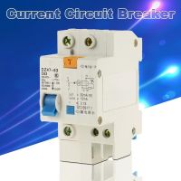 Current Breaker DZ47LE Current Circuit Breaker 1P N Breaker 230V-400V 50HZ 60A 4KA C Type Residual Current Circuit Breaker