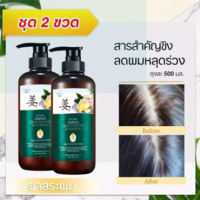 【2 ขวด 】ของแท้ 100% แชมพูแก้ผมร่วง ZENSHOW แชมพูขิง 1000ml ขิงช่วยป้องกันผมร่วง แชมพูสำหรับลดผมขาดหลุดร่วง ป้องกันผมร่วงบำรุงผม จัดส่งทันที