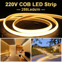 288 LEDs/M COB LED Strip Light 220V เทปยืดหยุ่นนุ่ม IP65 กันน้ำพร้อมปลั๊กไฟ EU 1-50m สำหรับตกแต่งแสงสวน-asferttyre