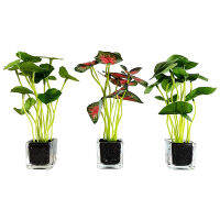 Set of 3 Small Fake Plants Potted with Glass Pots, Artificial Bonsai for Desktop Decor